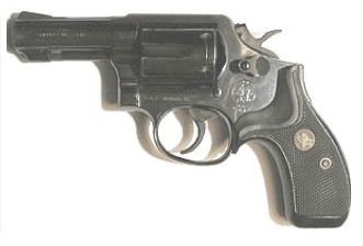 Bart S&W gun